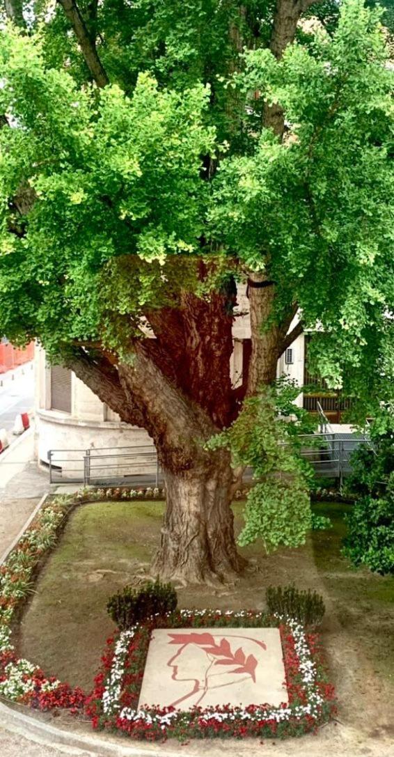 Ravenna Suite Kültér fotó
